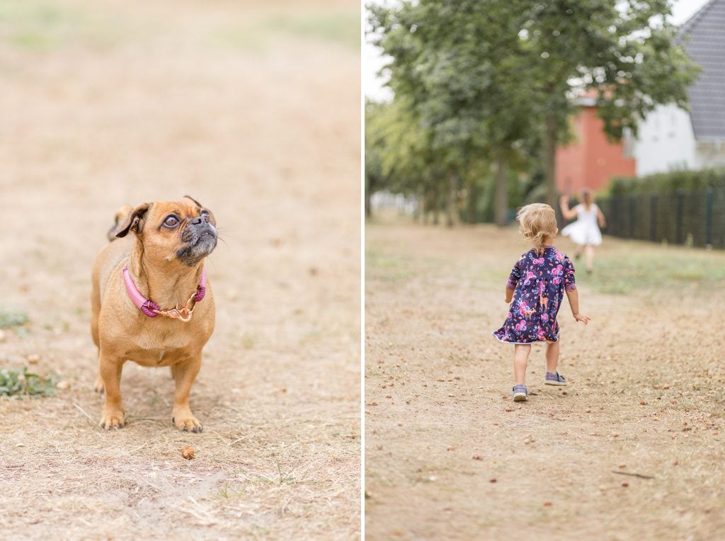 Spätsommerliche Familienfotos im Sandsturm in Stahnsdorf