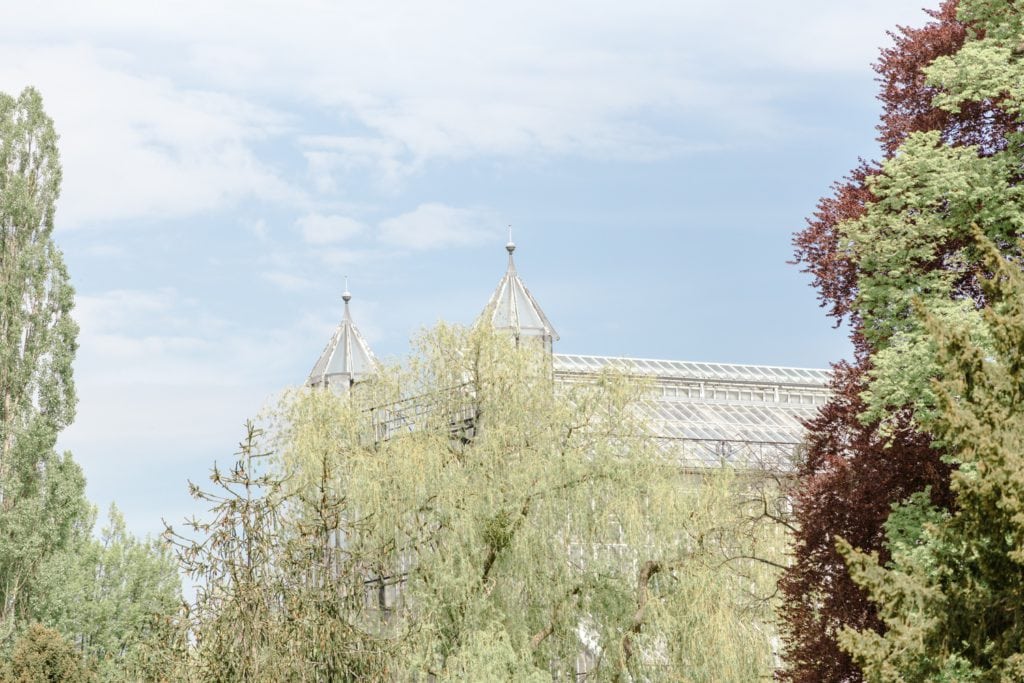 Standesamtliche Trauung von Svenja und Felix im Botanischen Garten Berlin