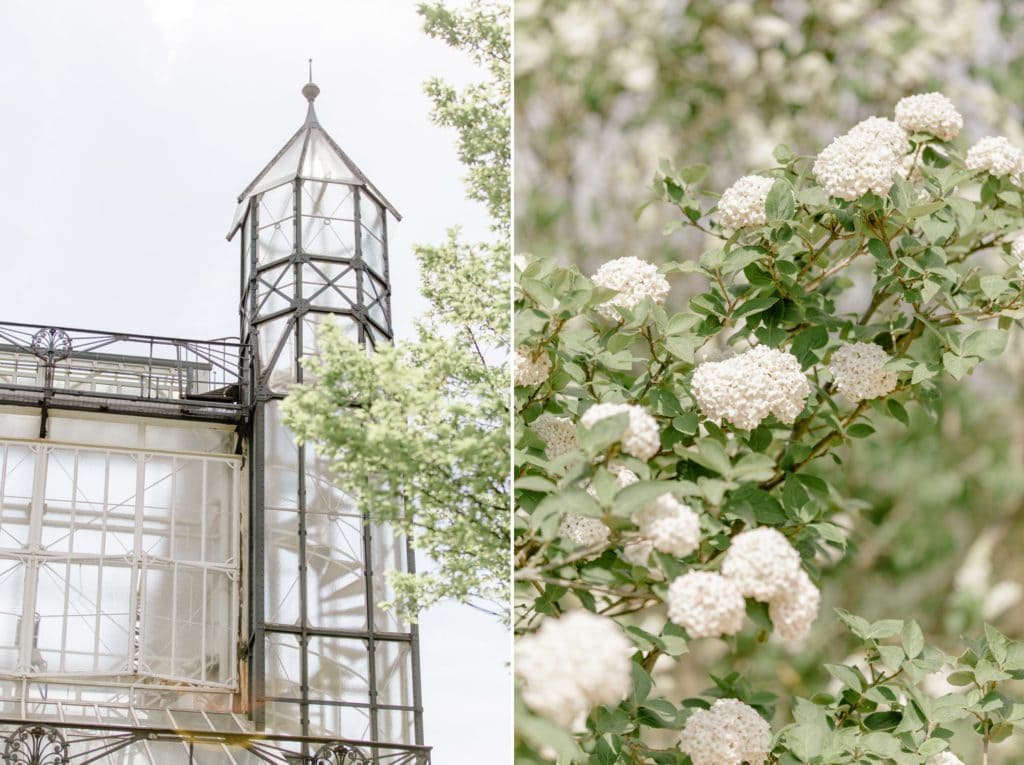 Standesamtliche Trauung von Svenja und Felix im Botanischen Garten Berlin