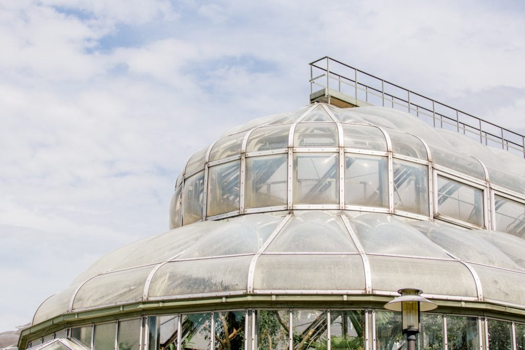 Standesamtliche Trauung von Svenja und Felix im Botanischen Garten Berlin