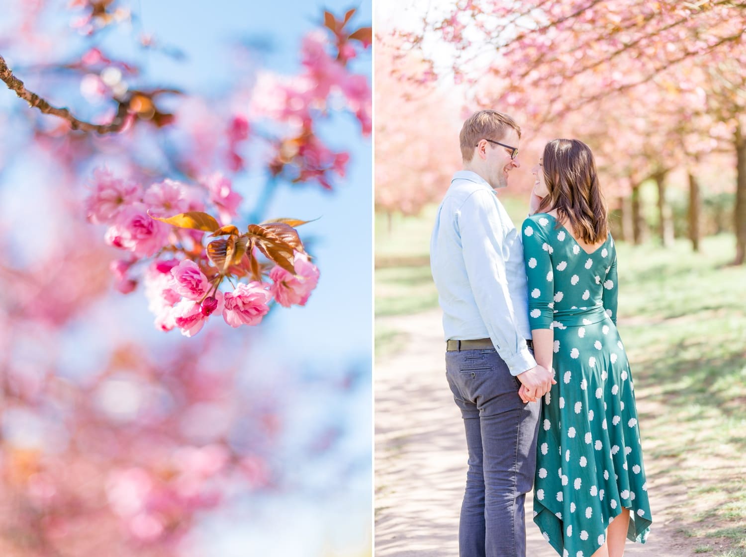 Verlobungsshooting Svenja und Felix in Kirschblüten in Berlin