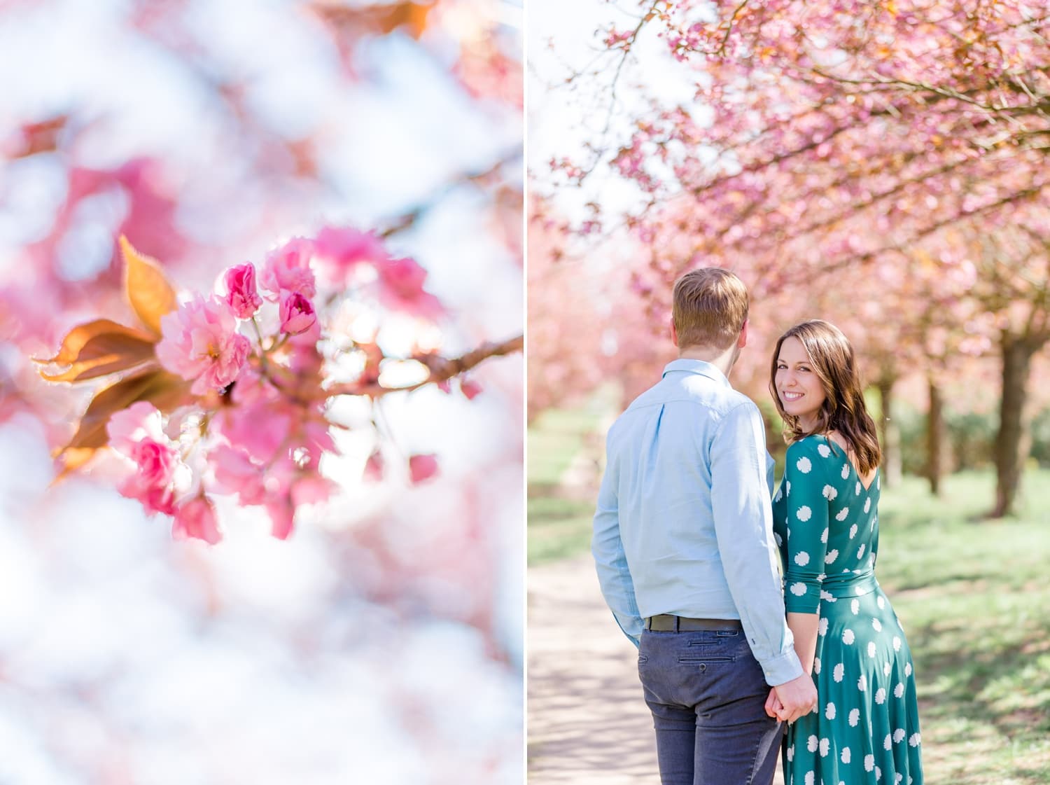 Verlobungsshooting Svenja und Felix in Kirschblüten in Berlin