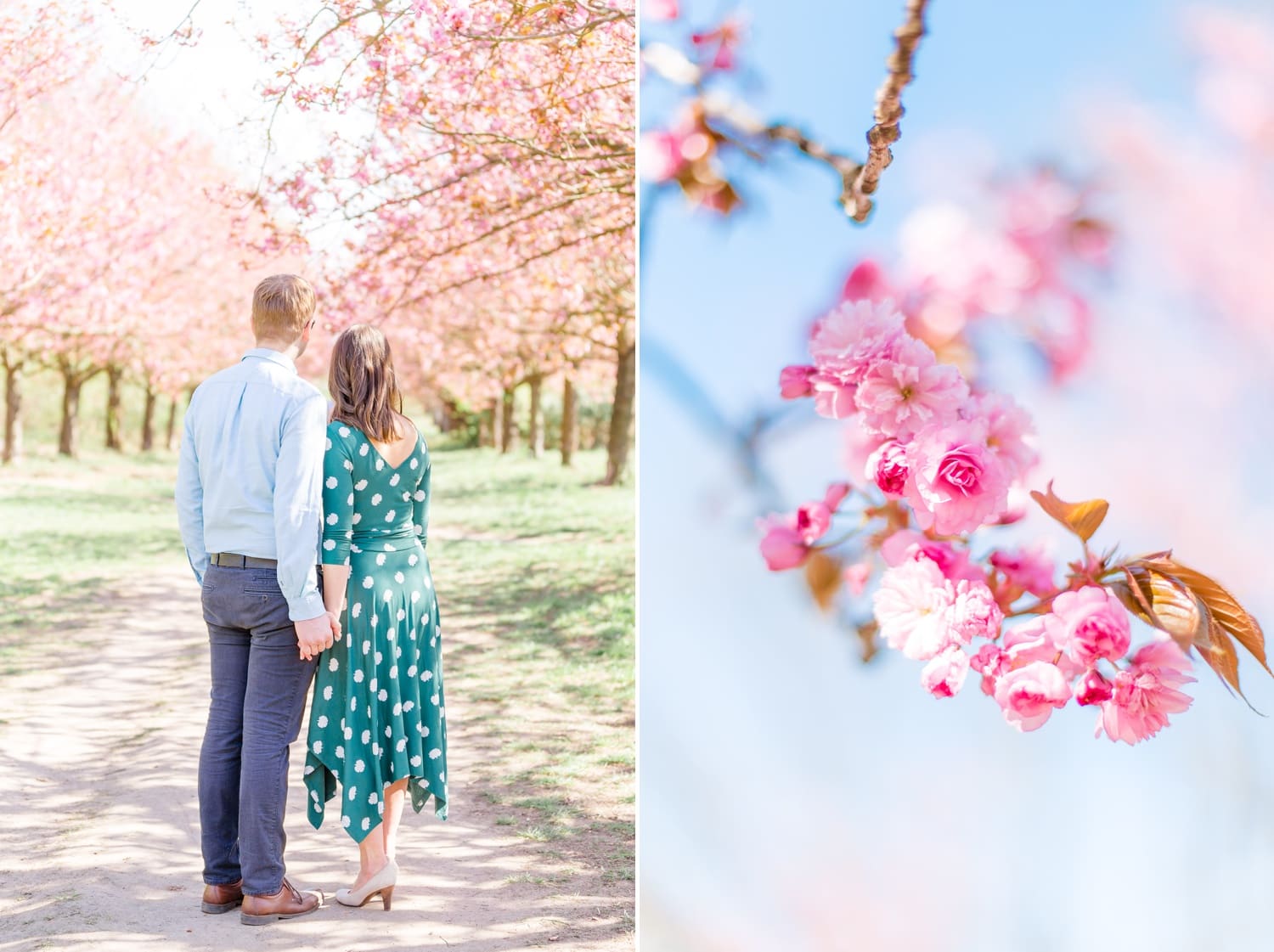 Verlobungsshooting Svenja und Felix in Kirschblüten in Berlin