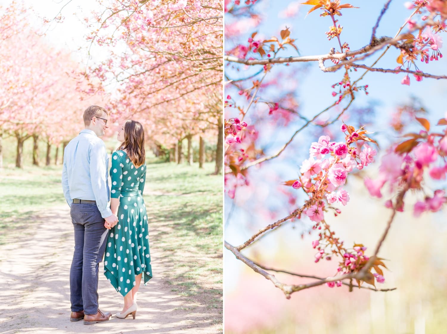 Verlobungsshooting Svenja und Felix in Kirschblüten in Berlin