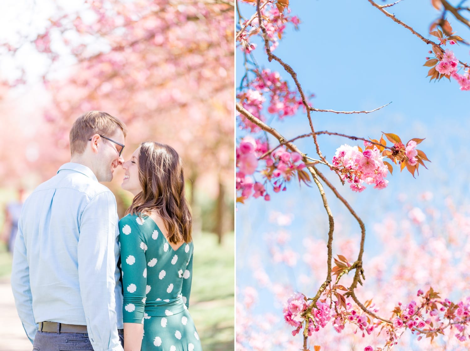 Verlobungsshooting Svenja und Felix in Kirschblüten in Berlin