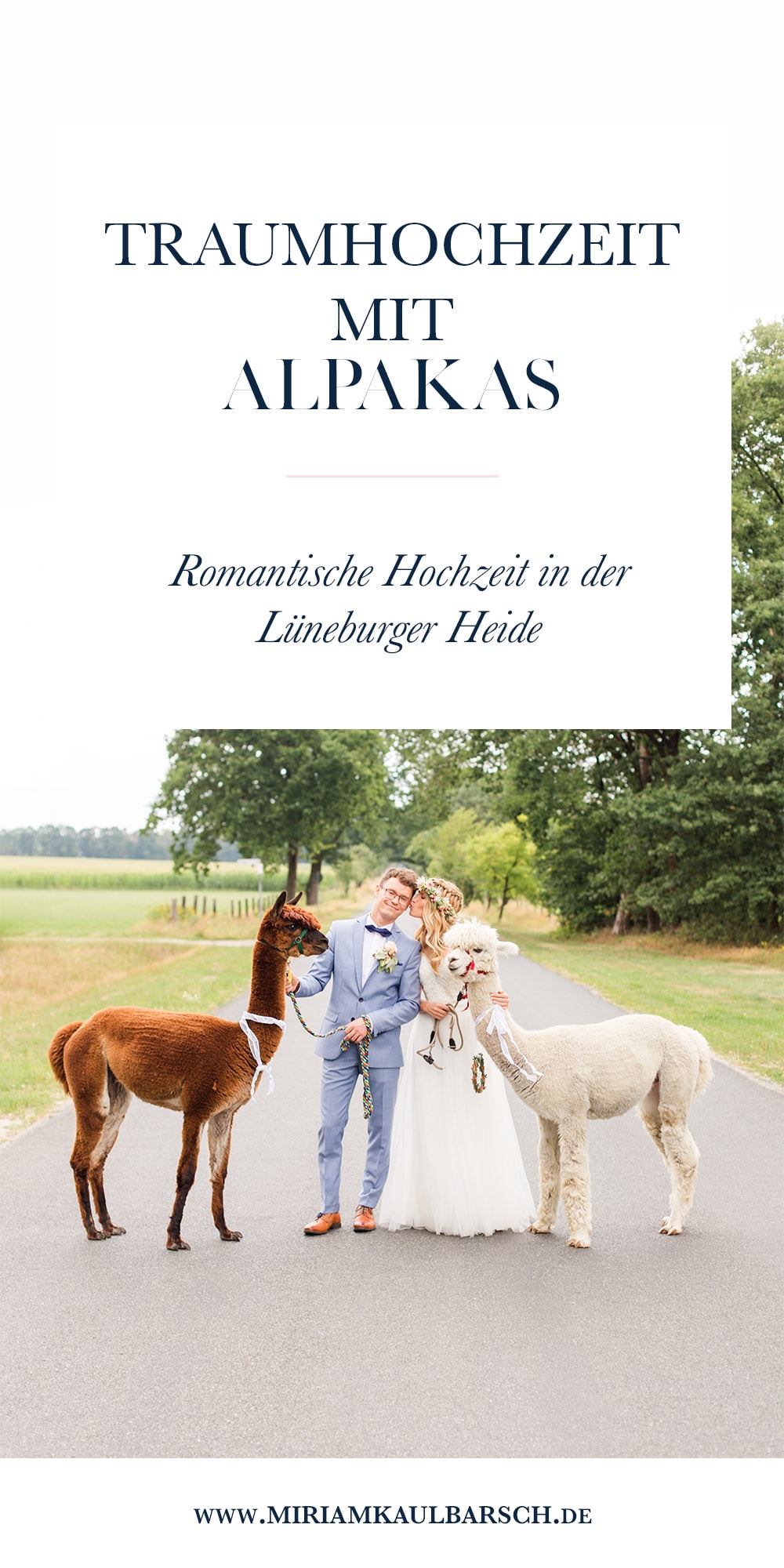 Traumhochzeit mit Alpakas - Romantische Landhochzeit in der Lüneburger Heide