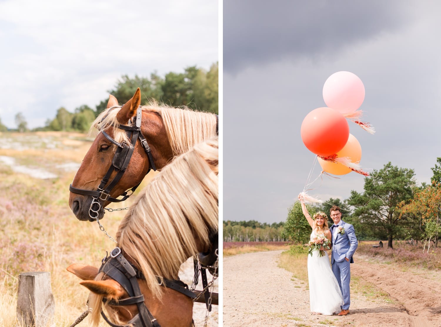 Traumhochzeit mit Alpakas - Romantische Landhochzeit in der Lüneburger Heide