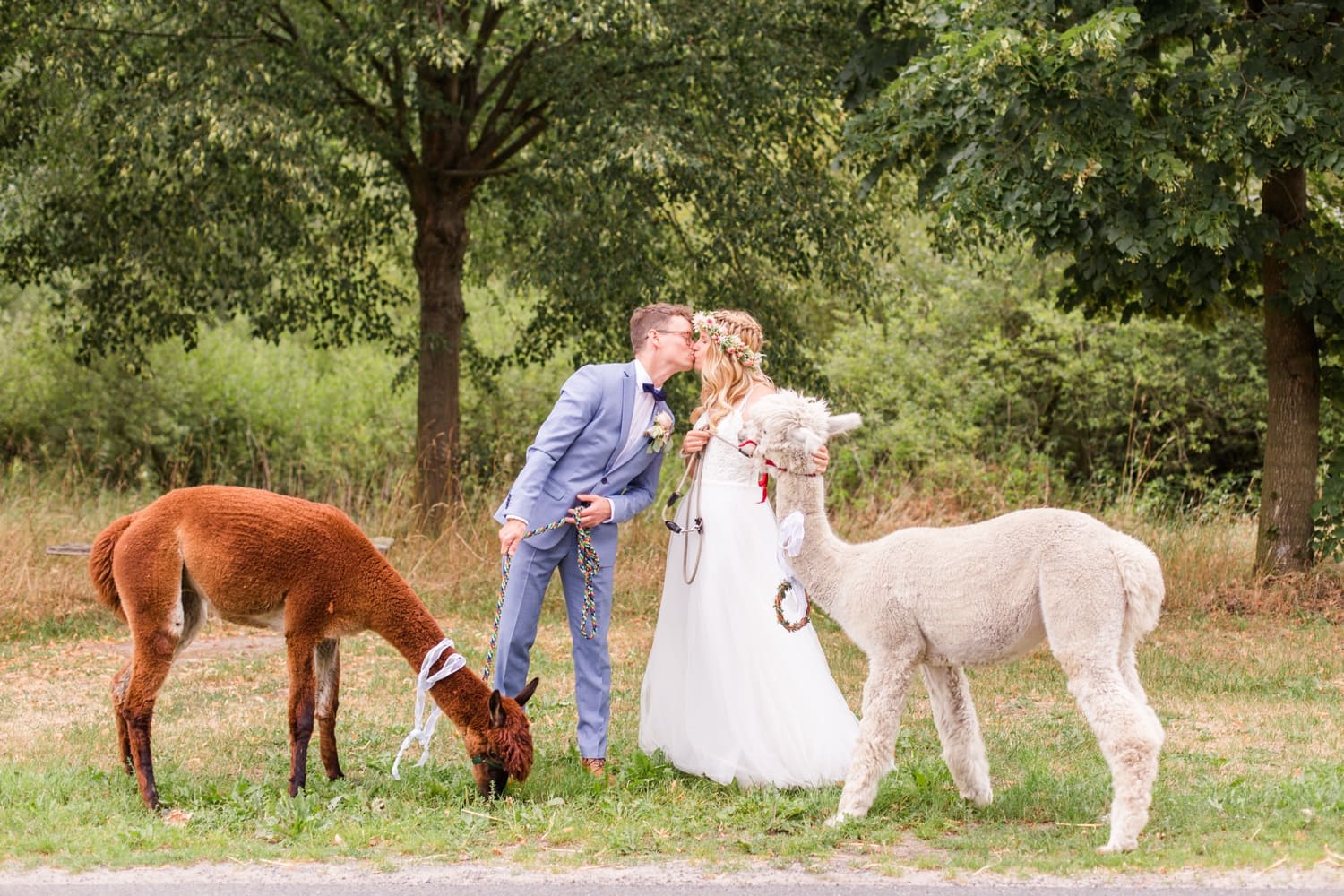 Traumhochzeit mit Alpakas - Romantische Landhochzeit in der Lüneburger Heide