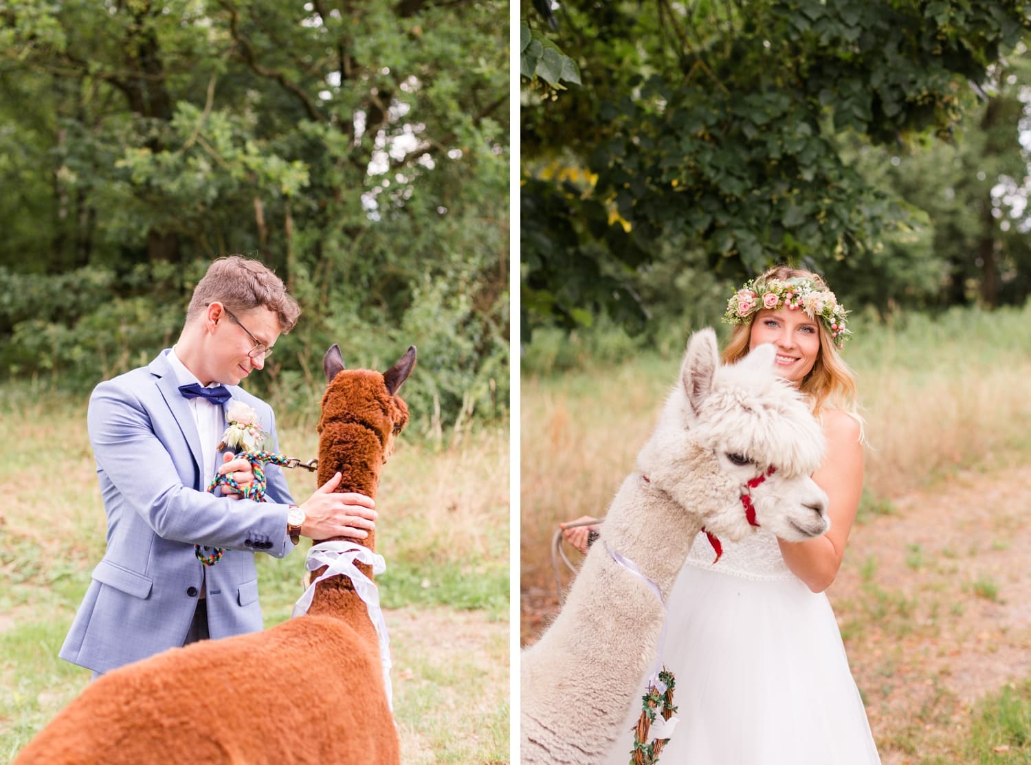 Traumhochzeit mit Alpakas - Romantische Landhochzeit in der Lüneburger Heide