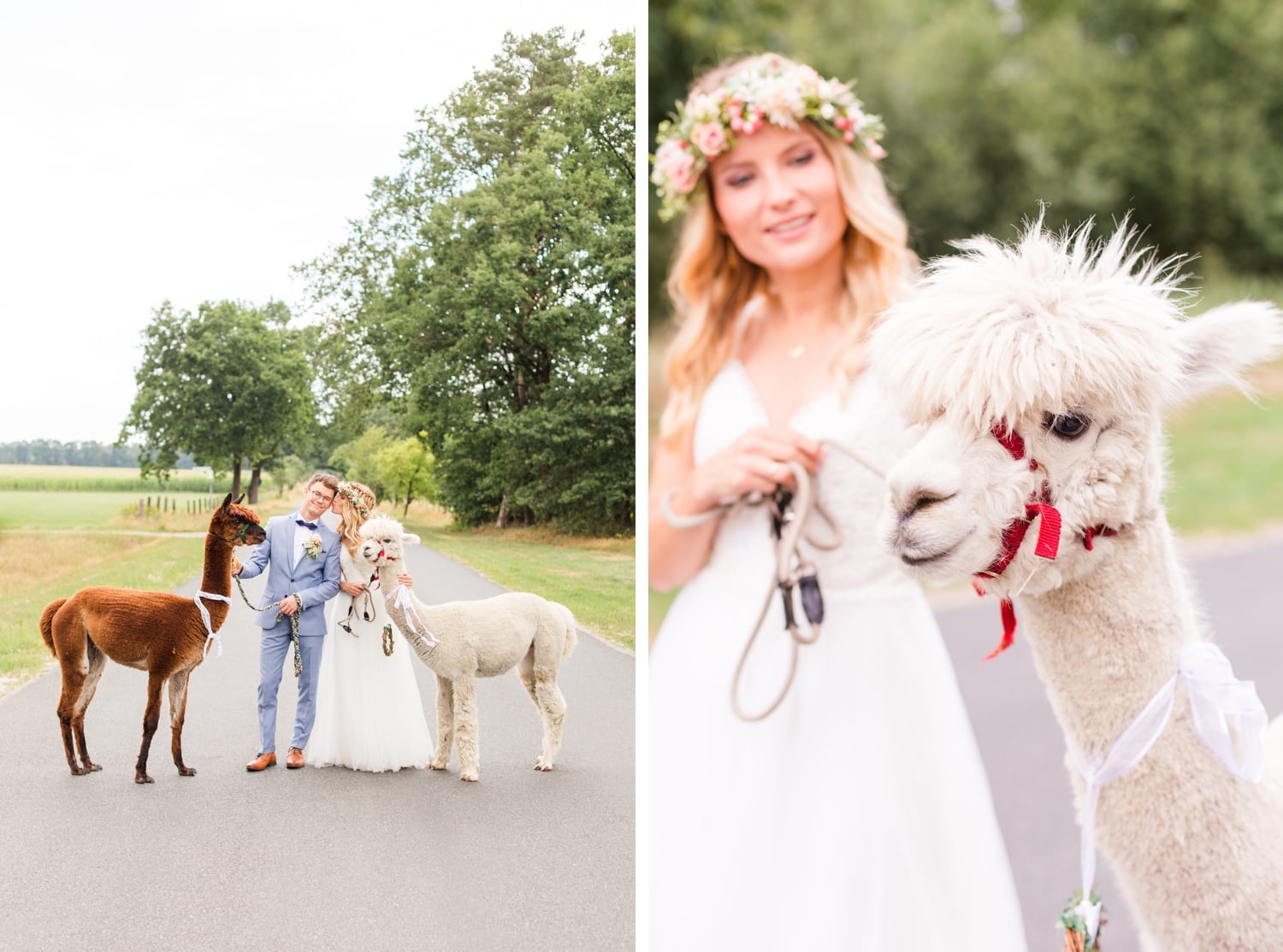 Traumhochzeit mit Alpakas - Romantische Landhochzeit in der Lüneburger Heide