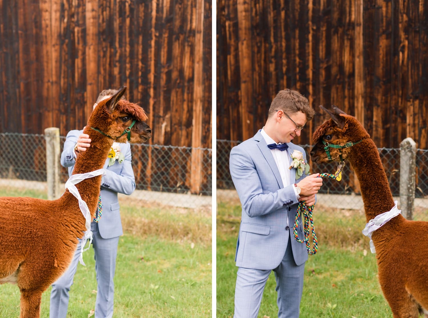 Traumhochzeit mit Alpakas - Romantische Landhochzeit in der Lüneburger Heide