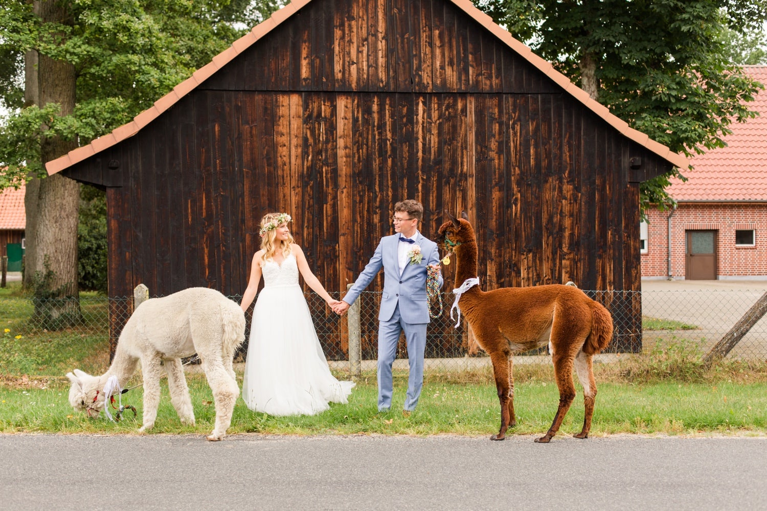 Traumhochzeit mit Alpakas - Romantische Landhochzeit in der Lüneburger Heide