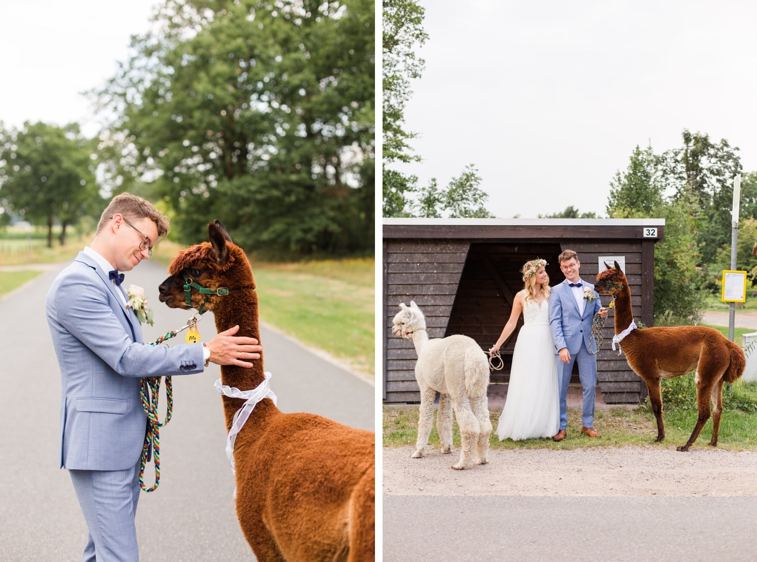 Traumhochzeit mit Alpakas - Romantische Landhochzeit in der Lüneburger Heide