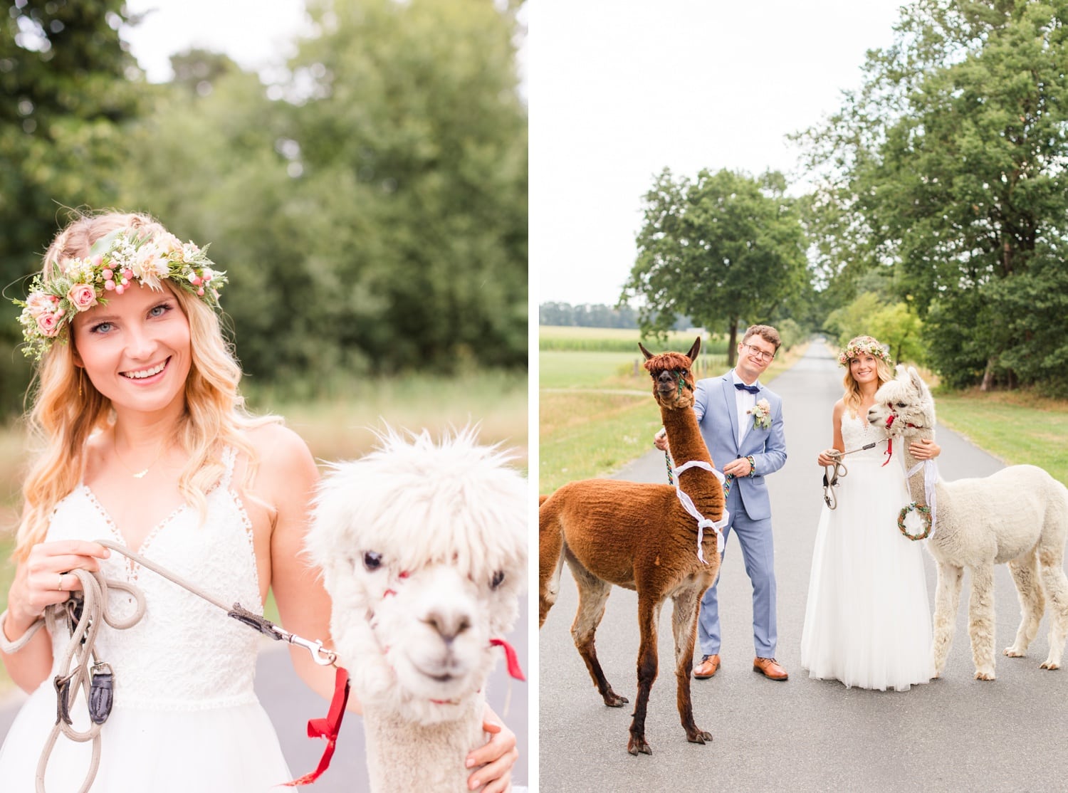 Traumhochzeit mit Alpakas - Romantische Landhochzeit in der Lüneburger Heide