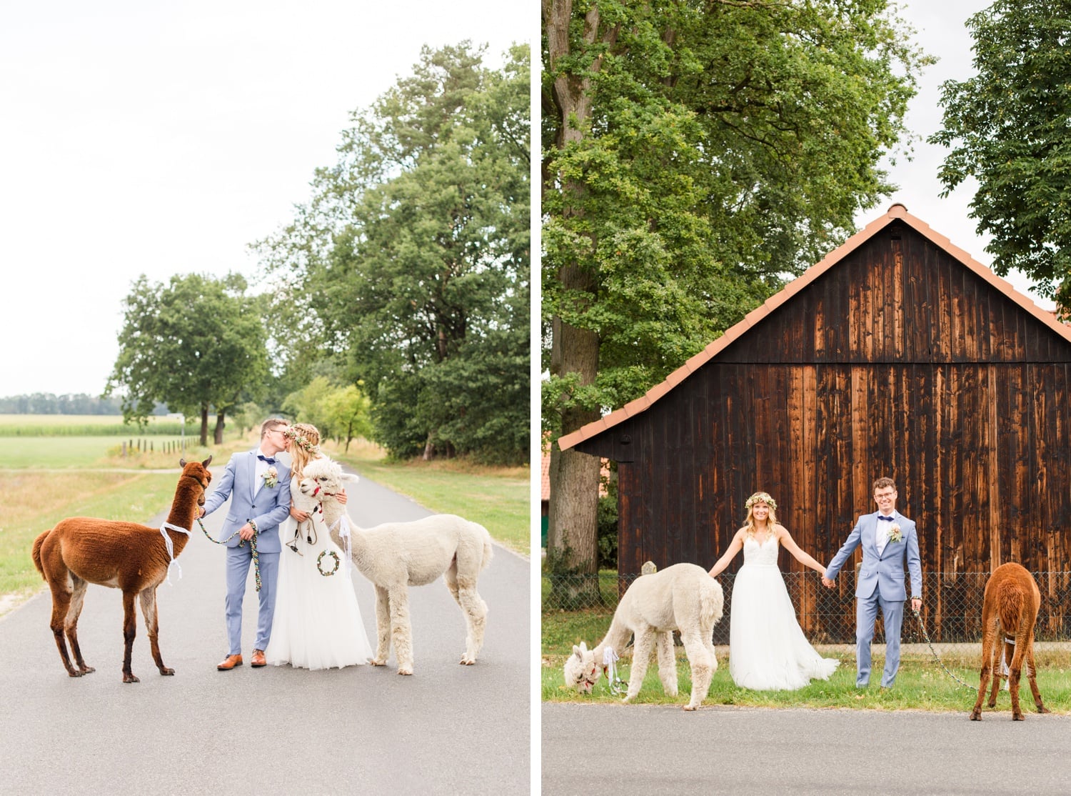 Traumhochzeit mit Alpakas - Romantische Landhochzeit in der Lüneburger Heide