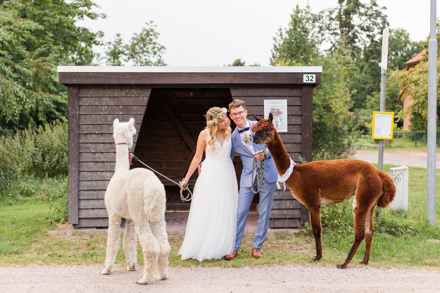 Traumhochzeit mit Alpakas - Romantische Landhochzeit in der Lüneburger Heide