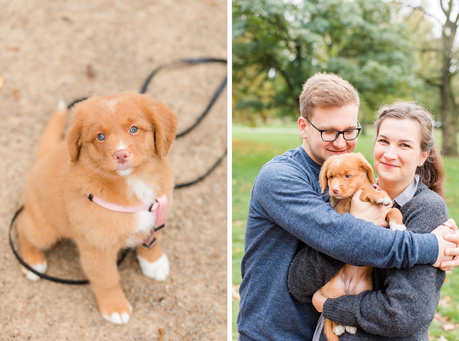 Herbstliche Familienfotos mit Toller Welpen in Berlin