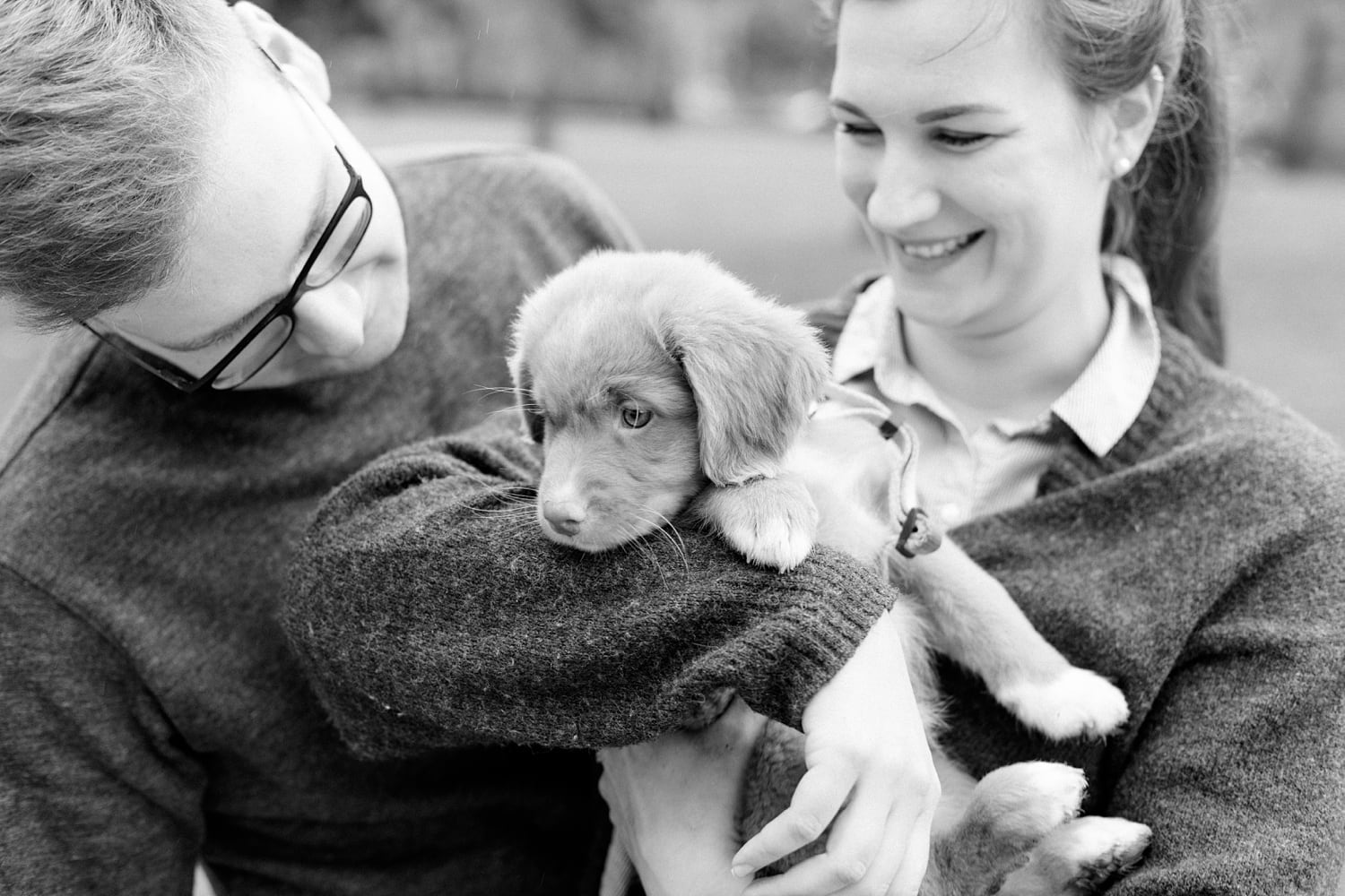 Herbstliche Familienfotos mit Toller Welpen in Berlin