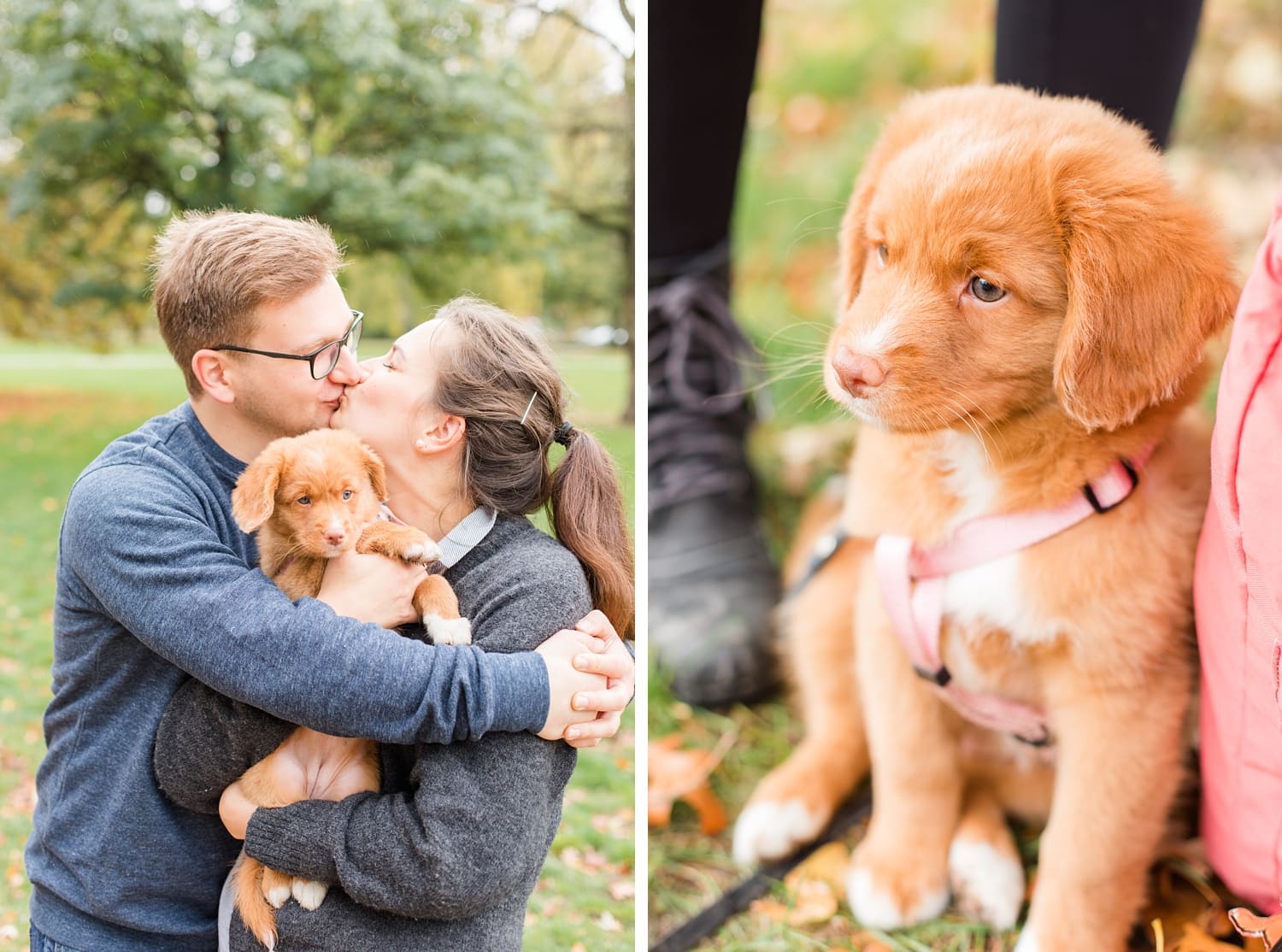 Herbstliche Familienfotos mit Toller Welpen in Berlin