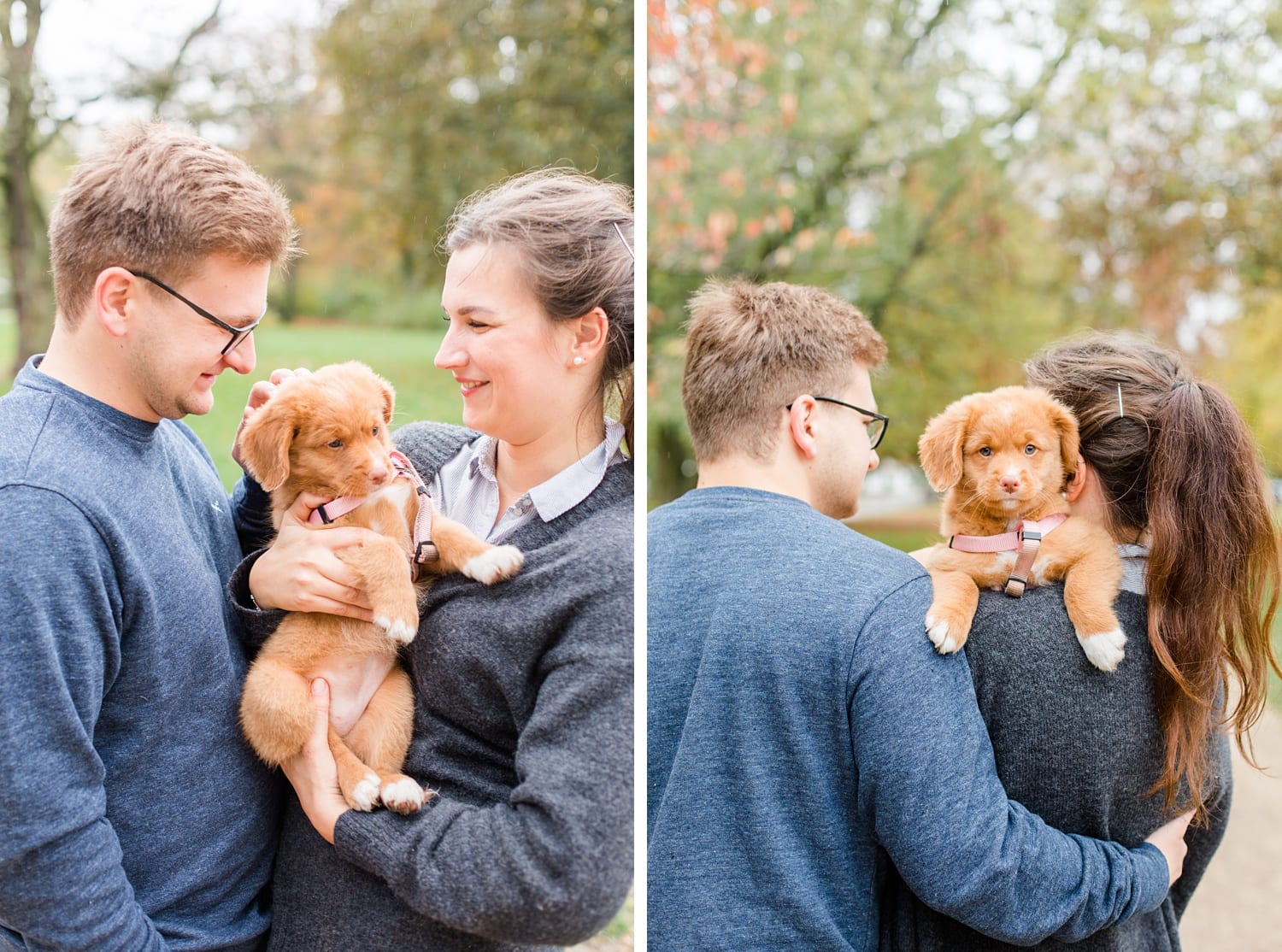 Herbstliche Familienfotos mit Toller Welpen in Berlin