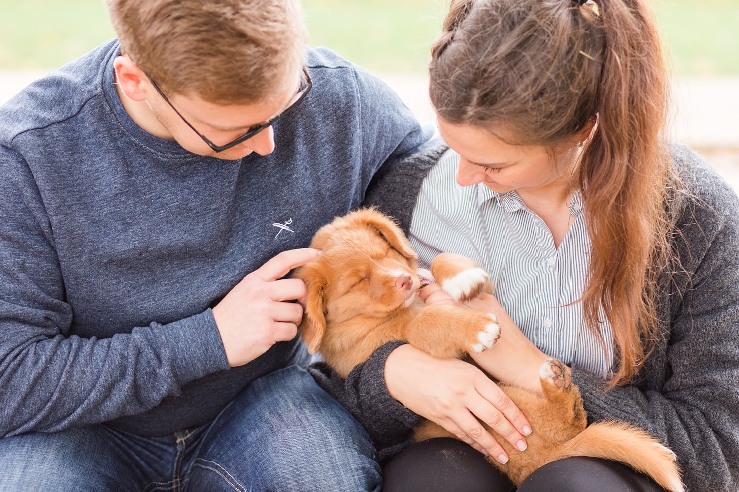 Herbstliche Familienfotos mit Toller Welpen in Berlin