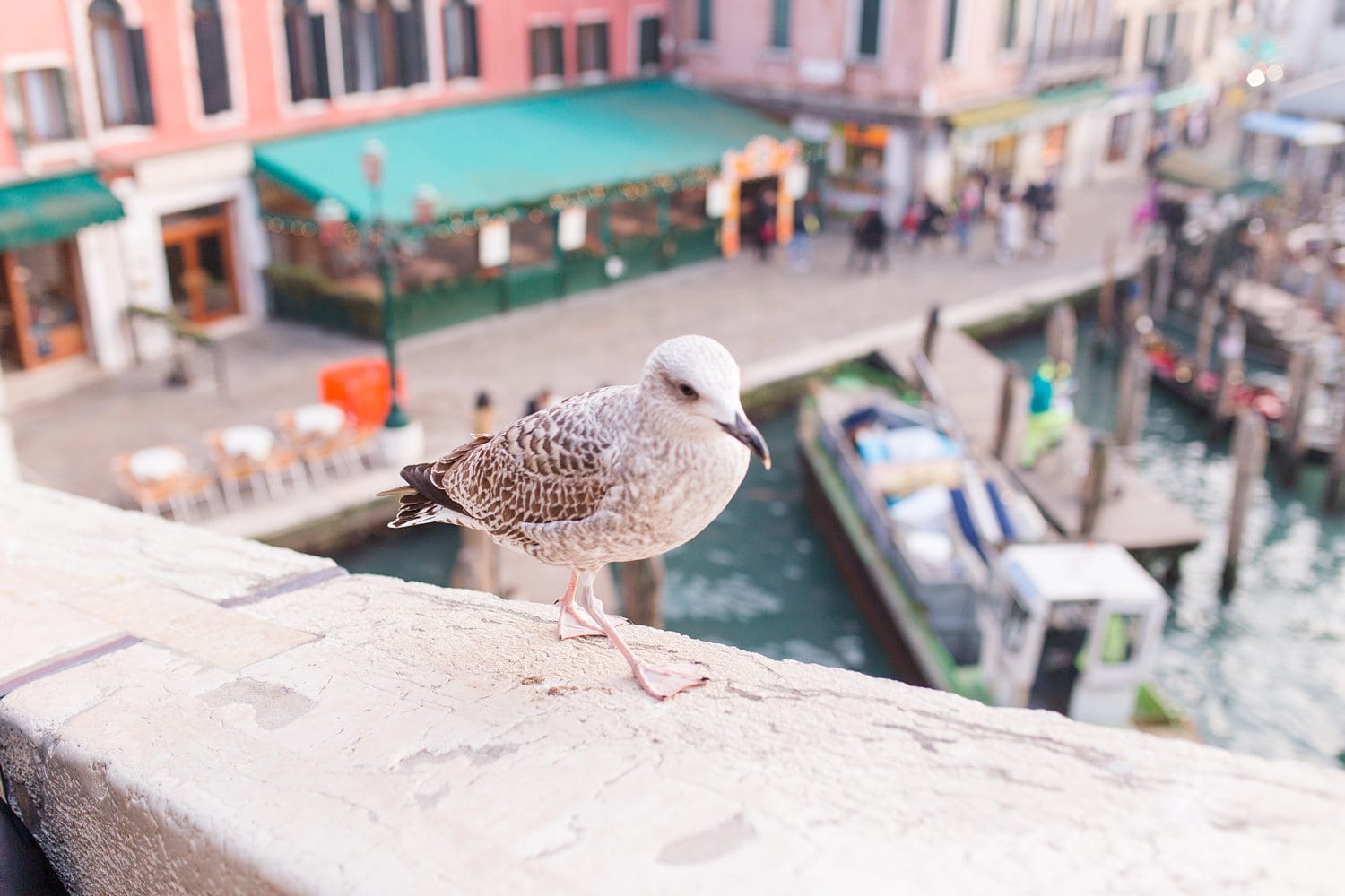 Venedig