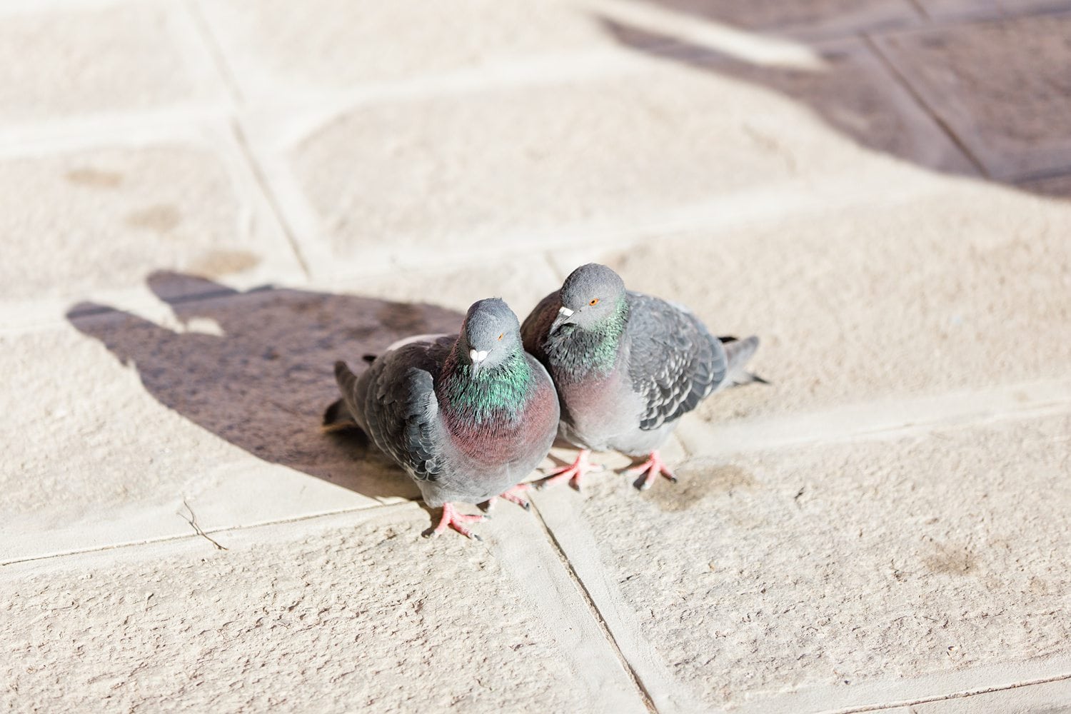 Venedig: Behind The Scenes Bilder vom Styled Shoot in Italien