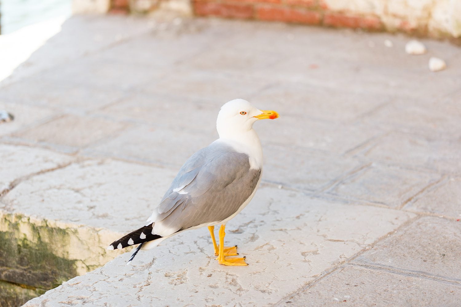 Venedig: Behind The Scenes Bilder vom Styled Shoot in Italien