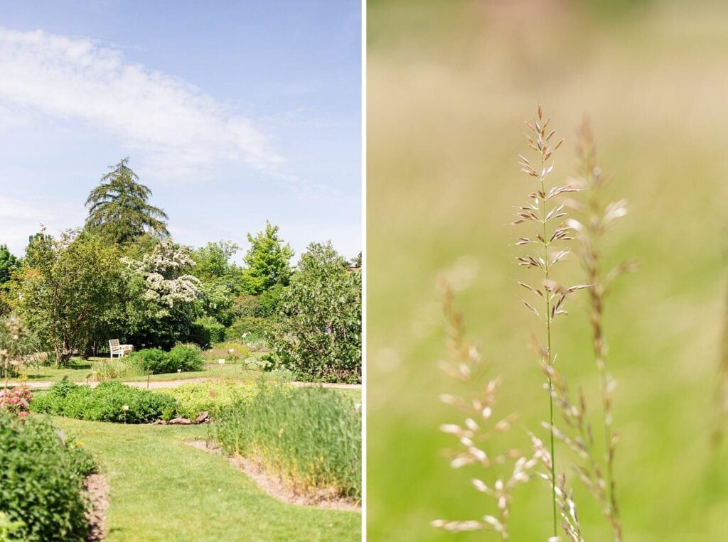 Ein Garten und Nahaufnahme eines Grashalmes