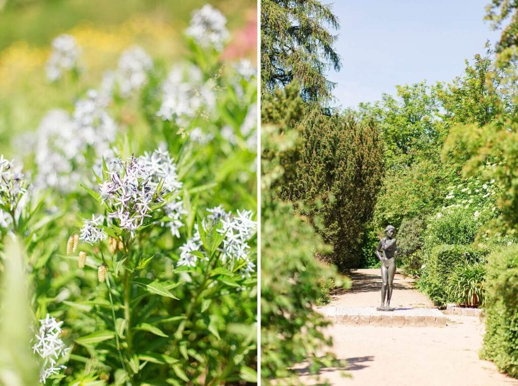 Nahaufnahme einer blauen Blume und eine Statue im Park