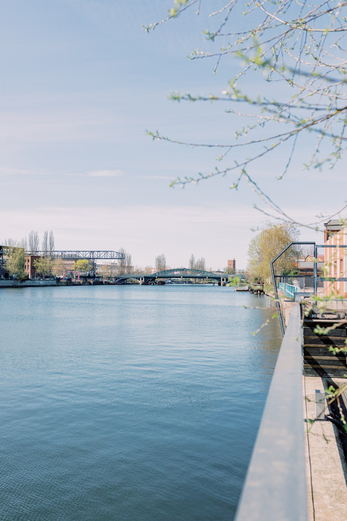 Blick über die Spree in Berlin