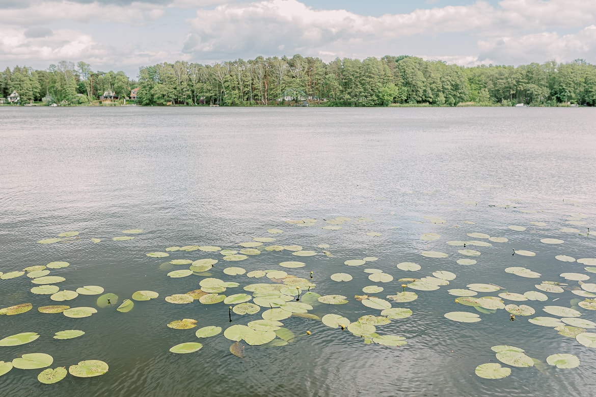 Seerosen Blätter auf dem Streganzer See