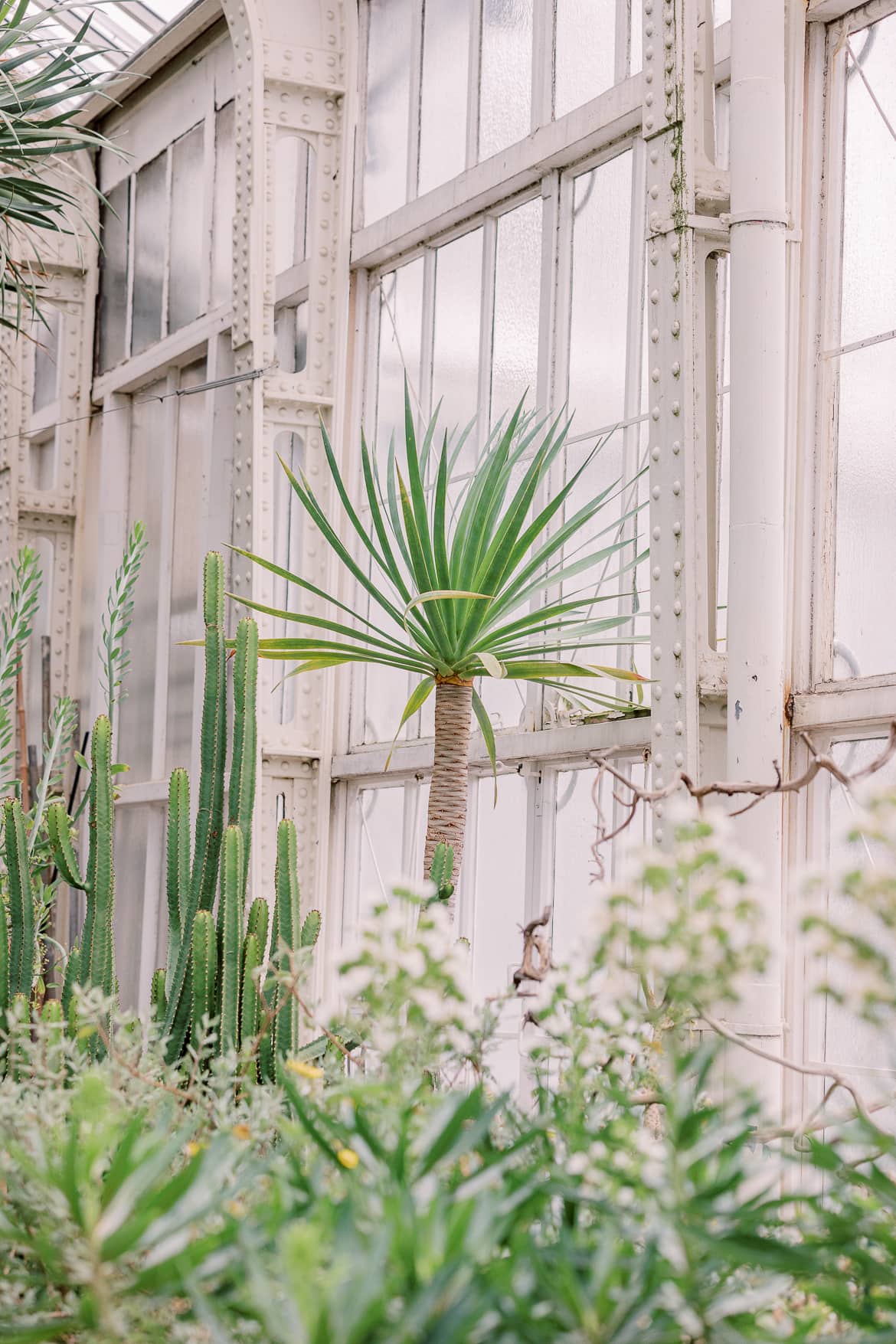 Trauung im Gewächshaus im Botanischen Garten