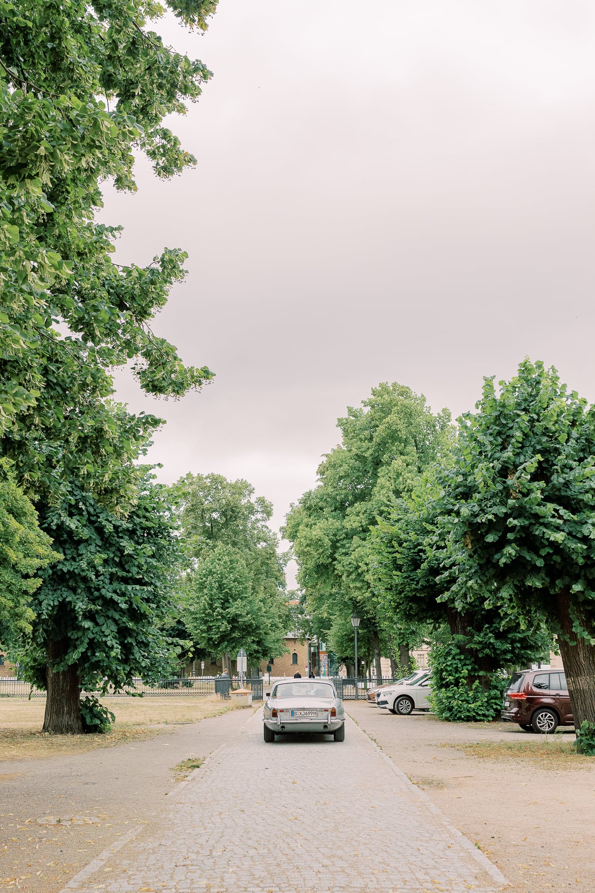 Oldtimer fährt durch eine Allee