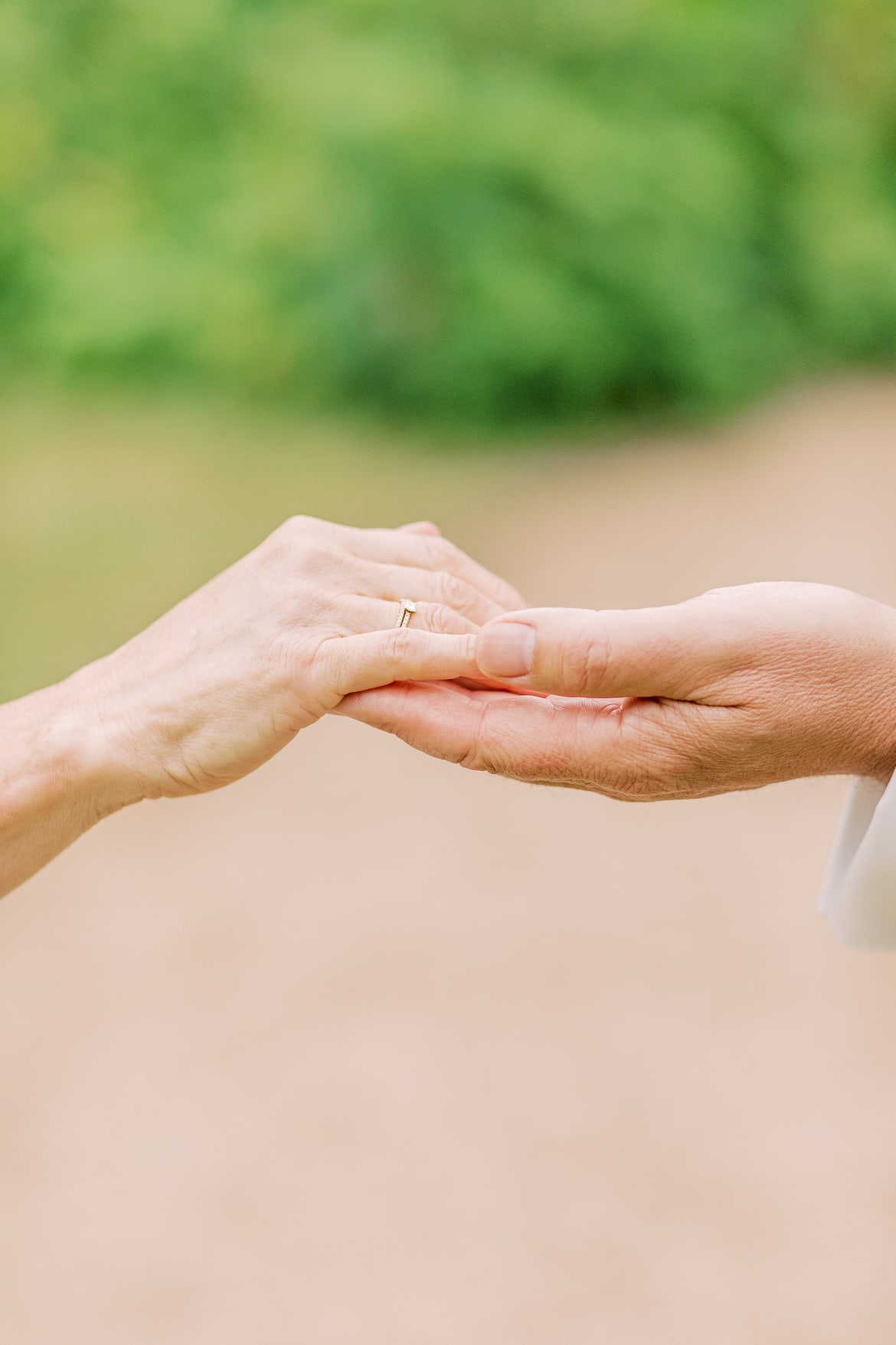 Das Brautpaar reicht sich die Hand