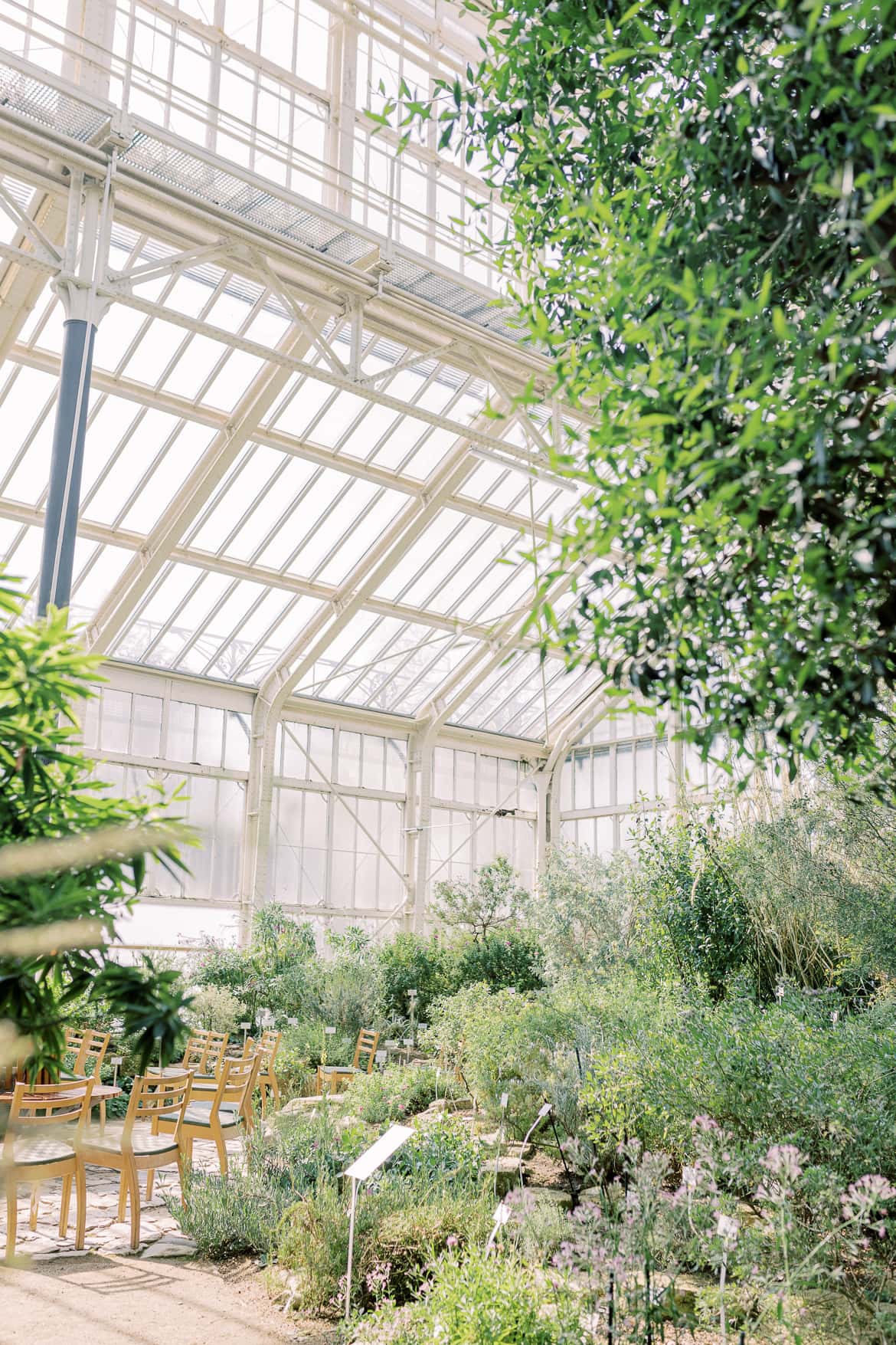 Standesamt im Mittelmeerhaus im Botanischen Garten Berlin