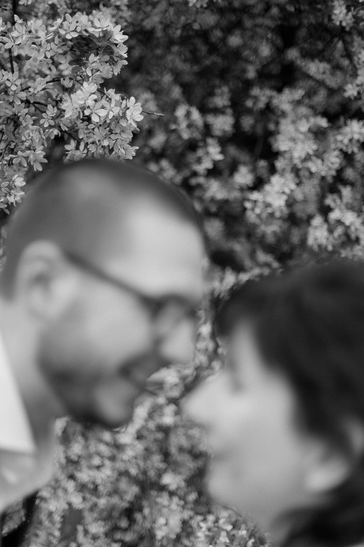 Hochzeitspaar vor einem blühenden Baum im Park