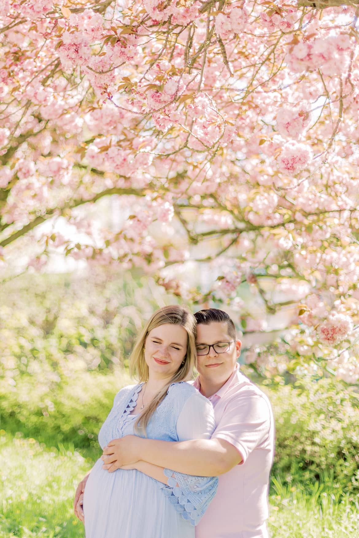 Babybauch Portraits unter Kirschblüten