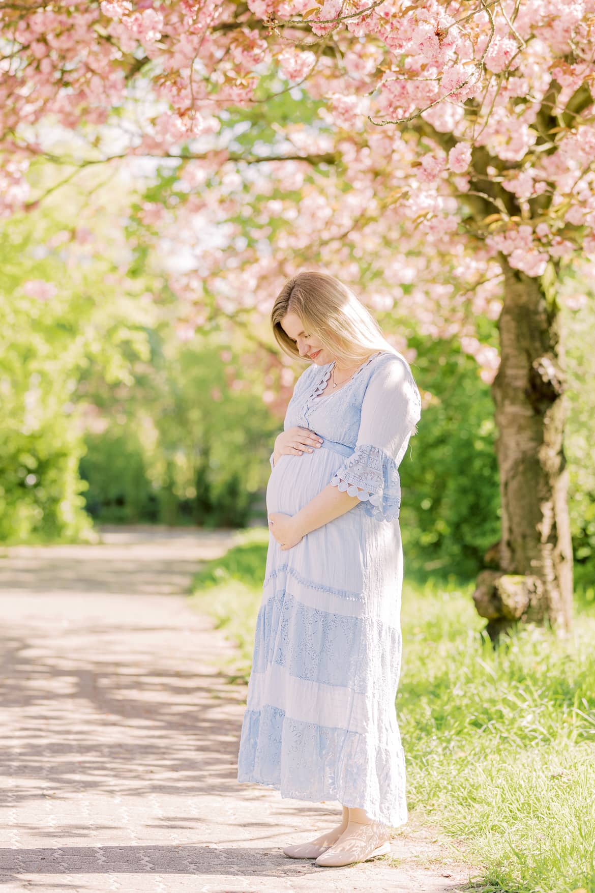 Babybauch Portraits unter Kirschblüten