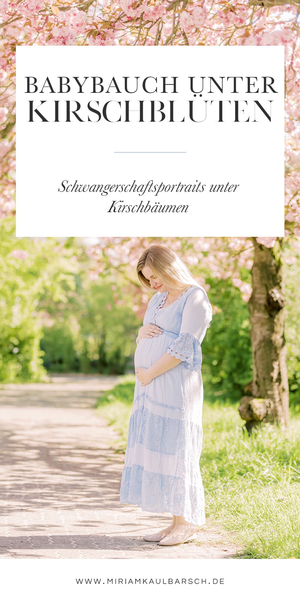 Babybauch Portraits unter Kirschblüten