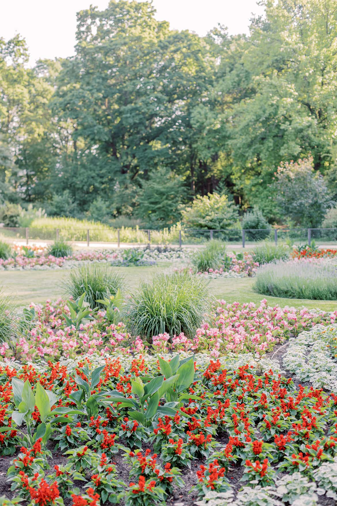 Blumenfelder im Tiergarten