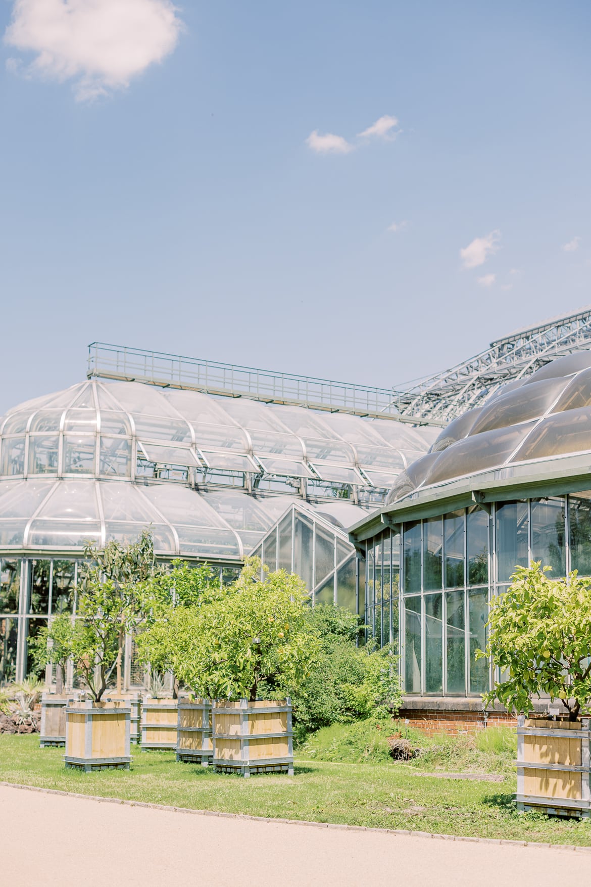 Botanischen Garten Berlin