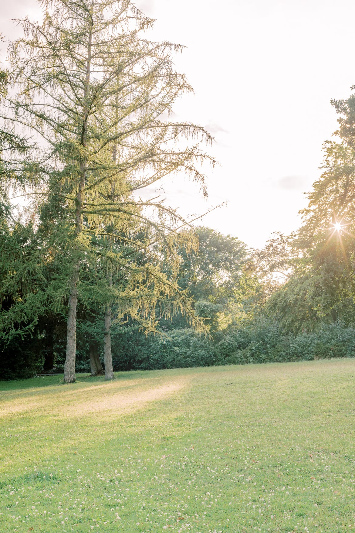 Park in Abendsonne