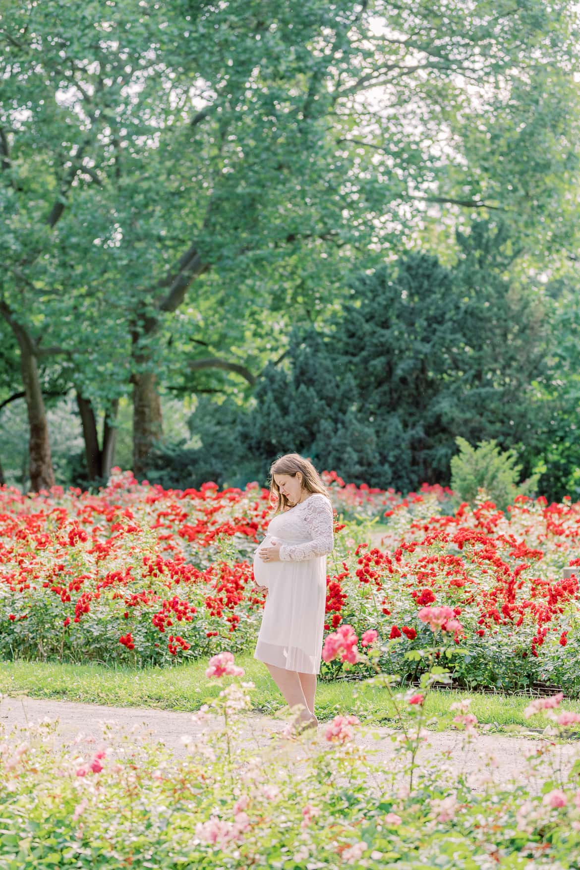 Babybauch Portraits im Rosengarten vom Stadtpark Steglitz