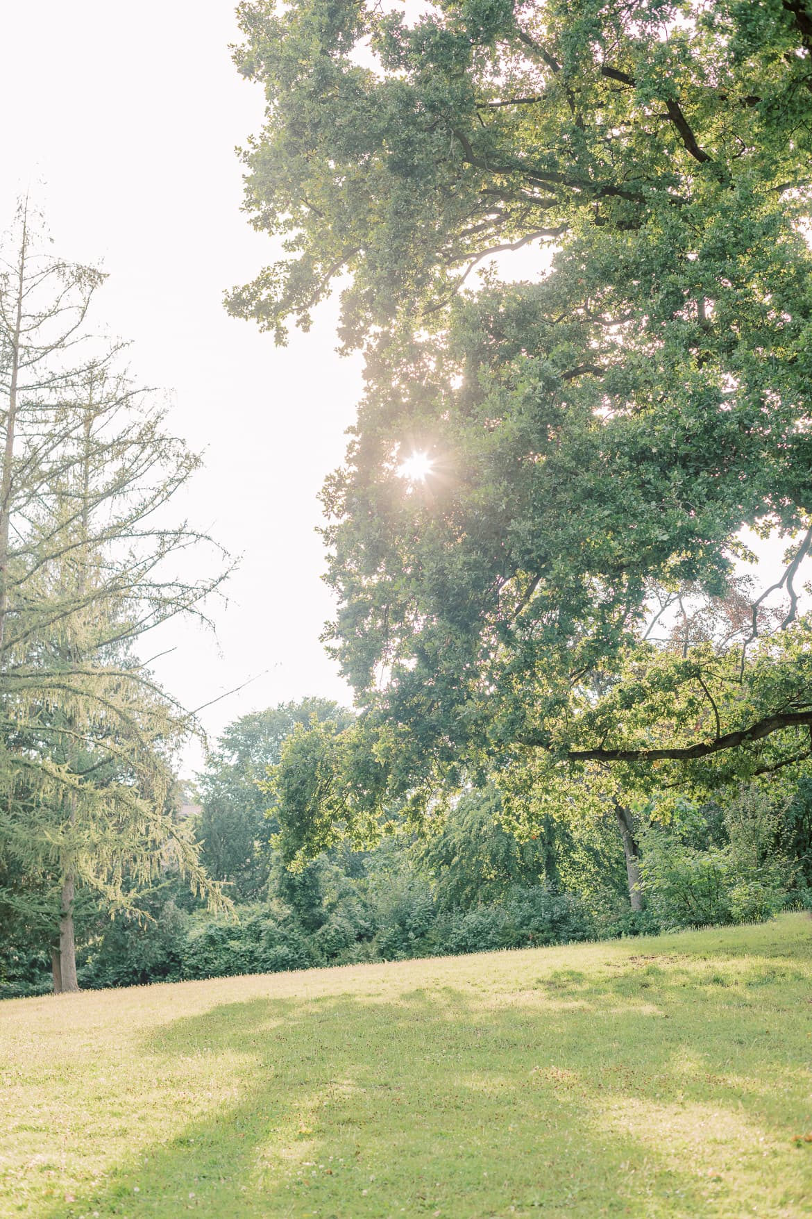 Sommerliche Pastell Portraits im Stadtpark Steglitz