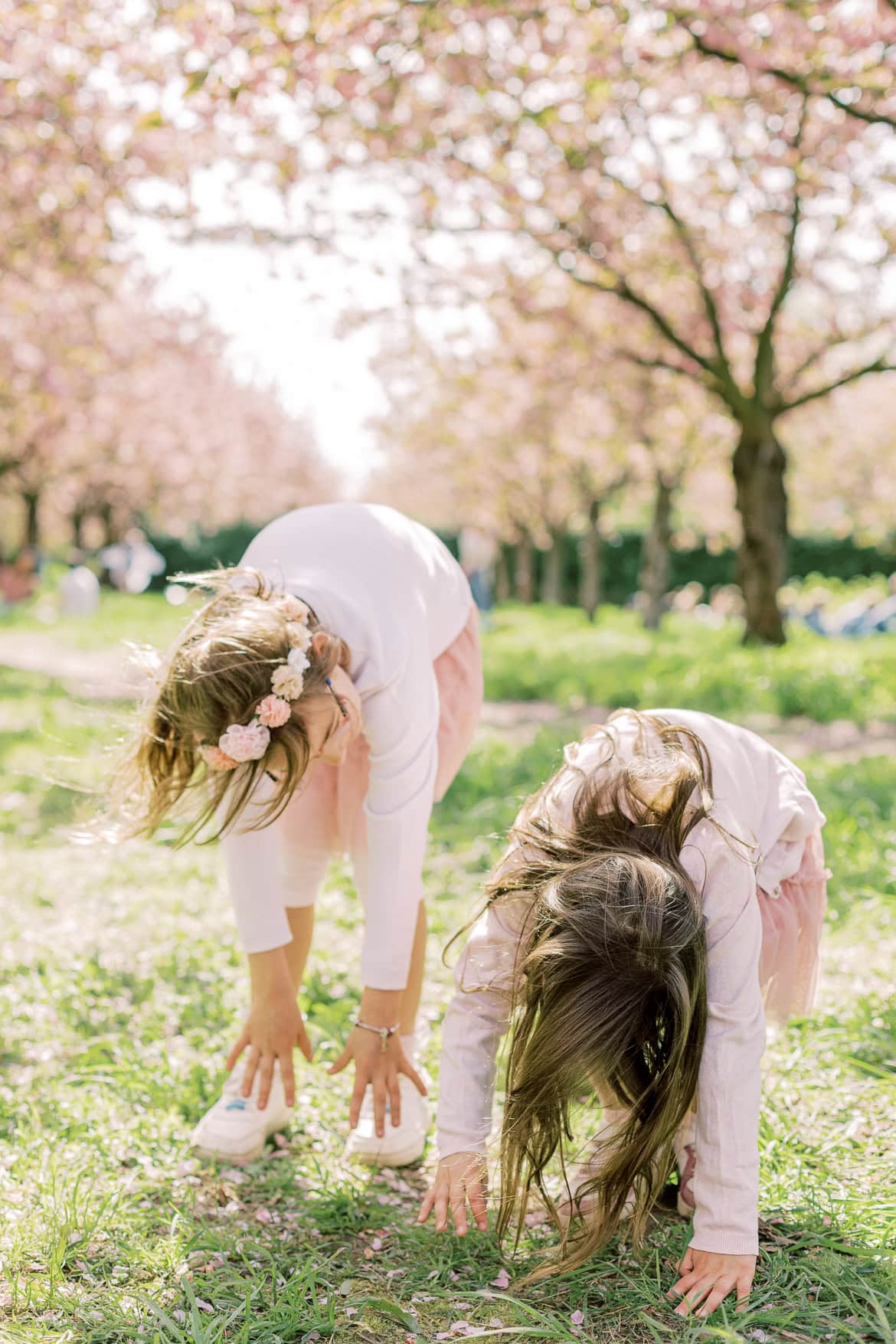 Kirschblüten Mini Sessions