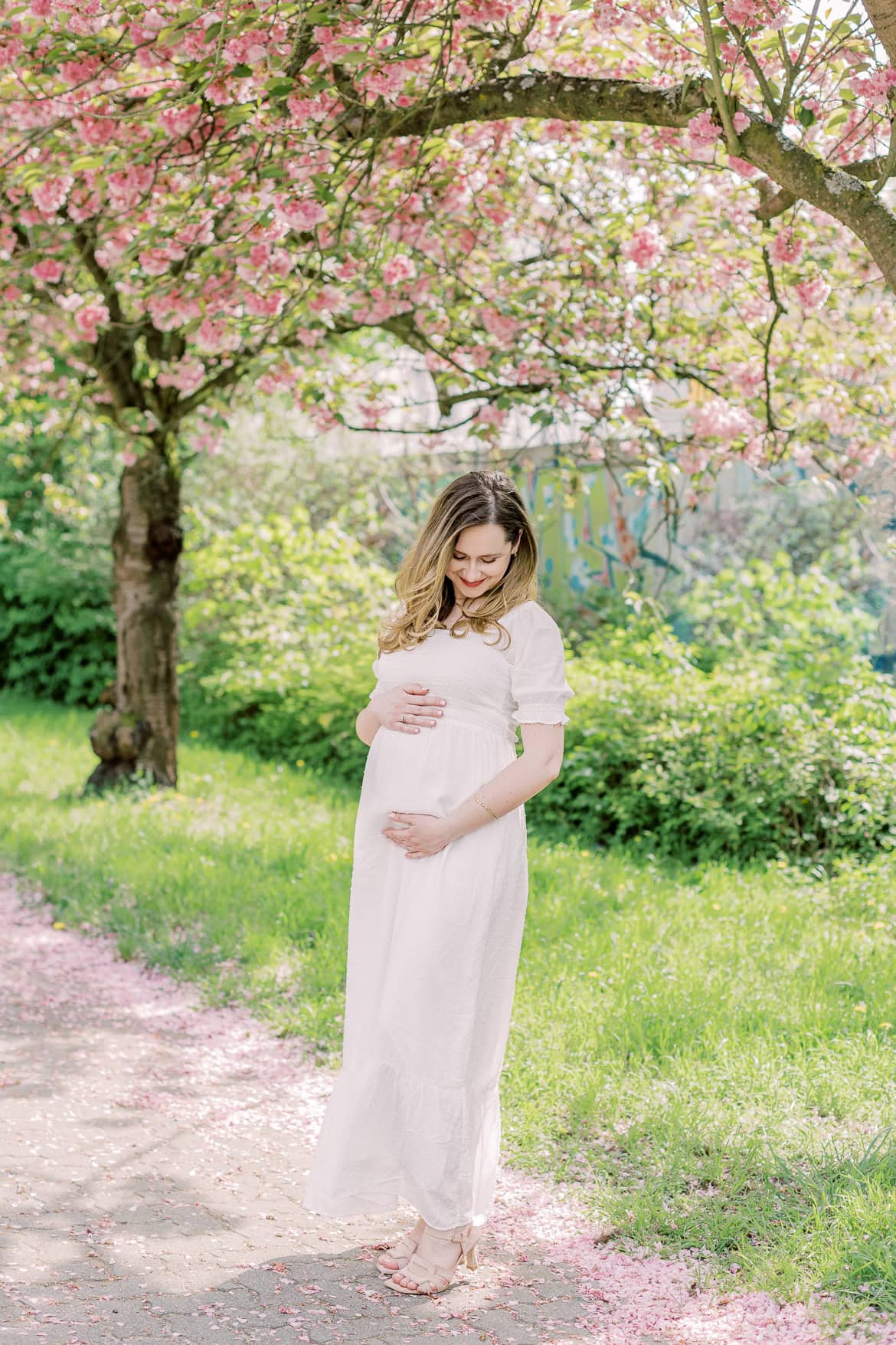 Kirschblüten Mini Sessions