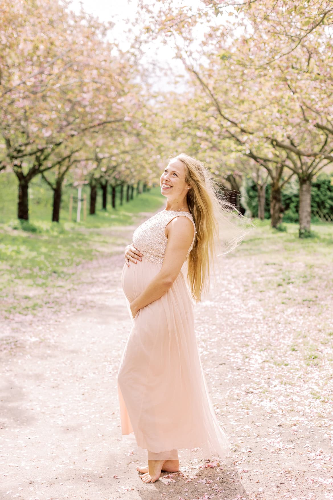 Kirschblüten Mini Sessions