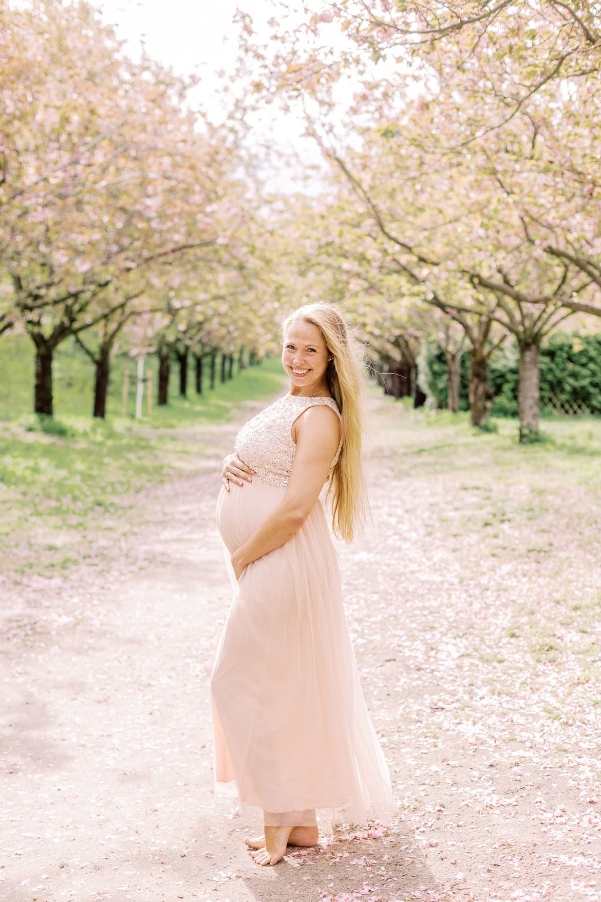 Kirschblüten Mini Sessions