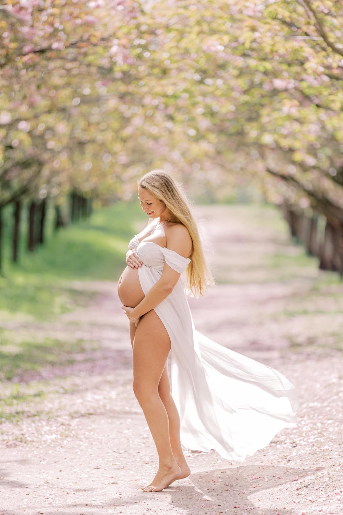 Kirschblüten Mini Sessions